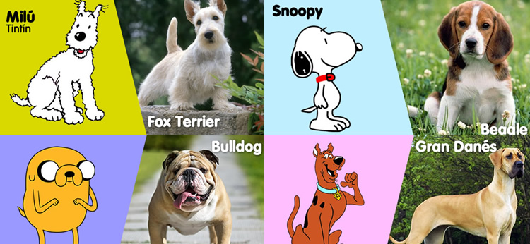 De qué raza de perro son los perros más famosos de los dibujos animados? -  