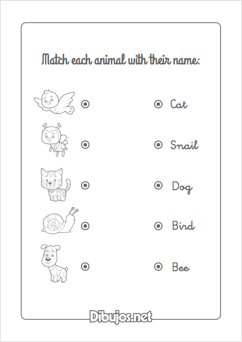 3 hojas de actividades para aprender los Animales en Inglés 
