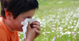 Cómo identificar y tratar la Rinitis Alérgica infantil