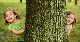 Los niños y el contacto con la naturaleza
